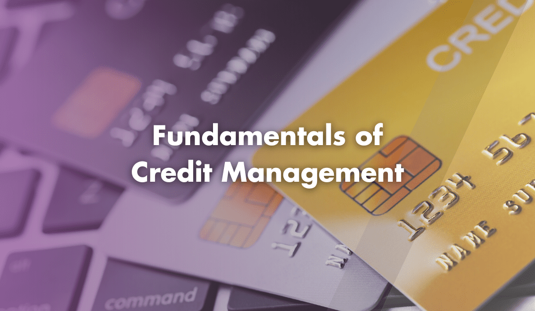 The Fundamentals of Credit Management