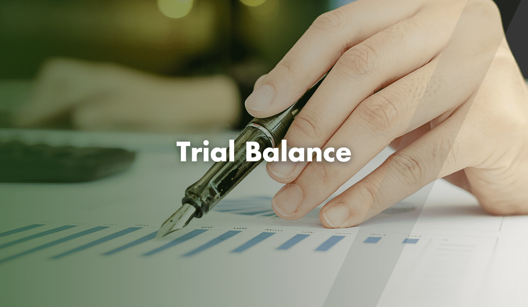 What is a Trial Balance