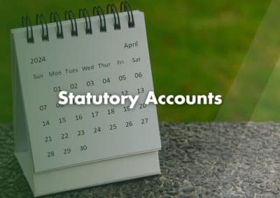 What are Statutory Accounts? Research Spotlight