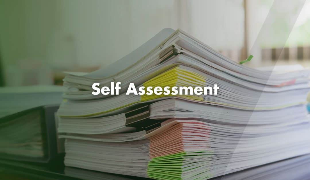 What is Self Assessment