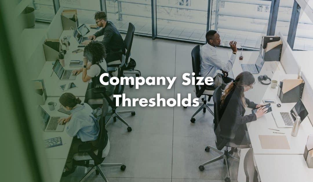 Company Size Thresholds