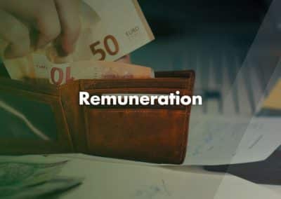Remuneration Explained By Accountants
