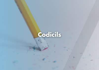 Using a Codicil to Update Your Will